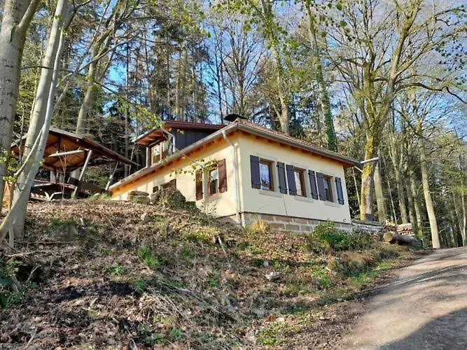 公寓 Waldhaus Edelweiss